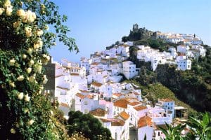 Casares