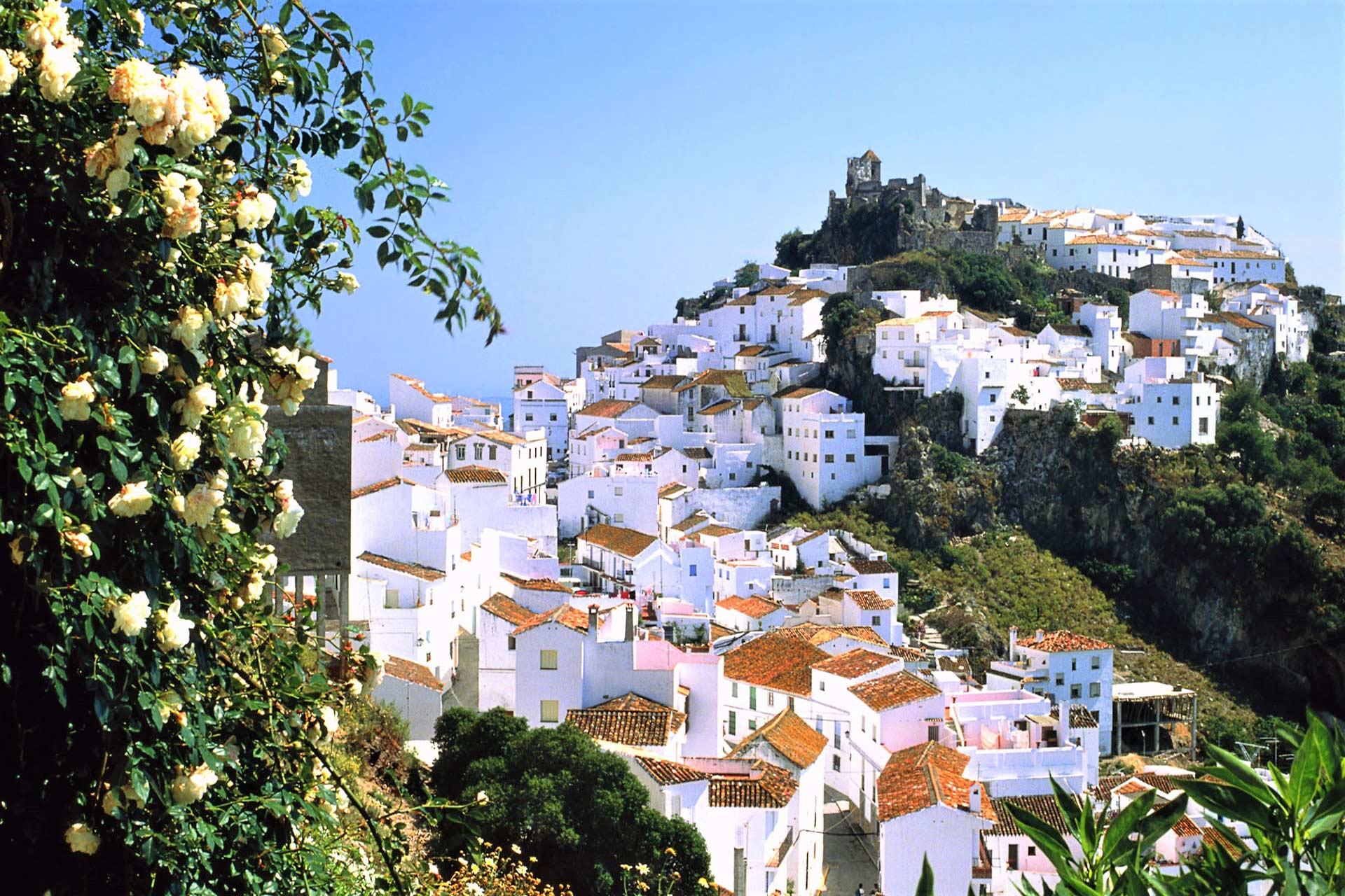 Casares